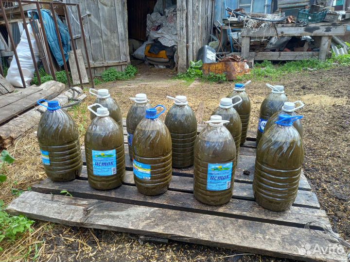 Коровяк навоз жидкий