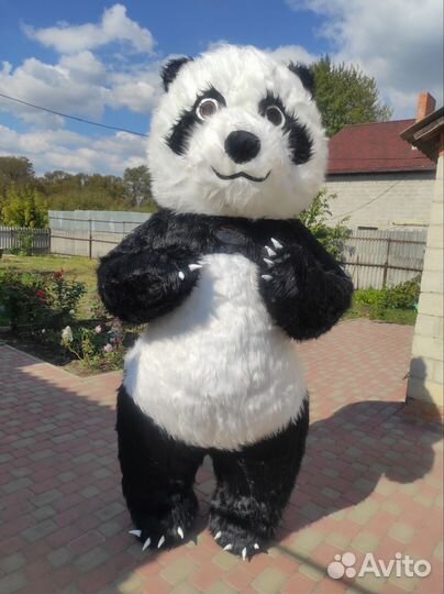 Белый мишка панда чебурашка аниматоры