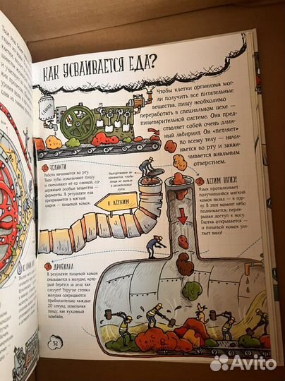 Книга о человеке
