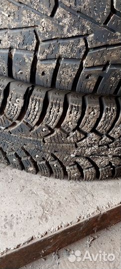 Nokian Tyres Hakka Black 195/65 R15