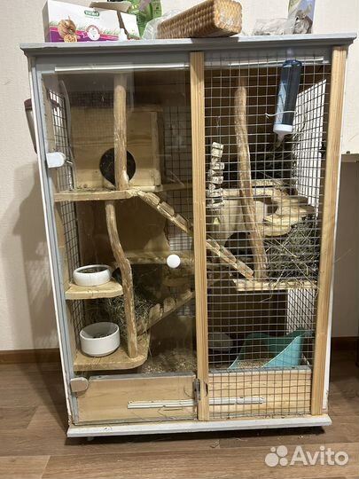 Бронь Шиншиллы с клеткой-витриной