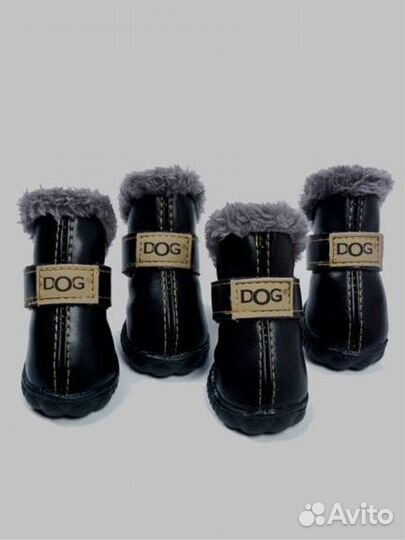 Обувь для собак