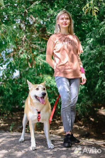 Хочется чтобы у Лиса была своя семья