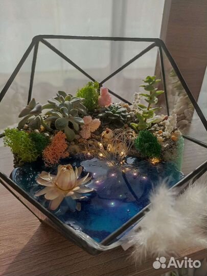 Флорариум с сукулентами