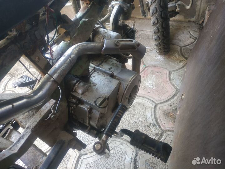 Карпаты х Альфа 110