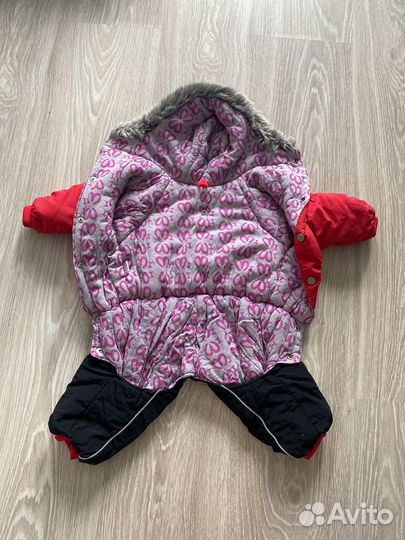 Одежда для маленьких собак