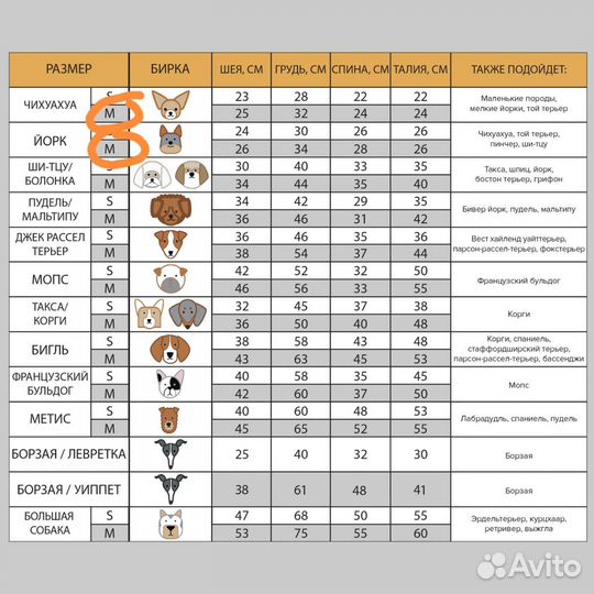 Одежда для маленьких собак бу