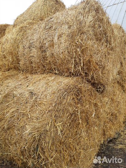 Солома в рулонах