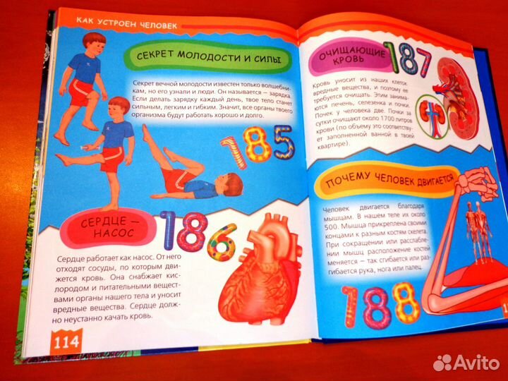 Энциклопедия 200 интересных фактов новая