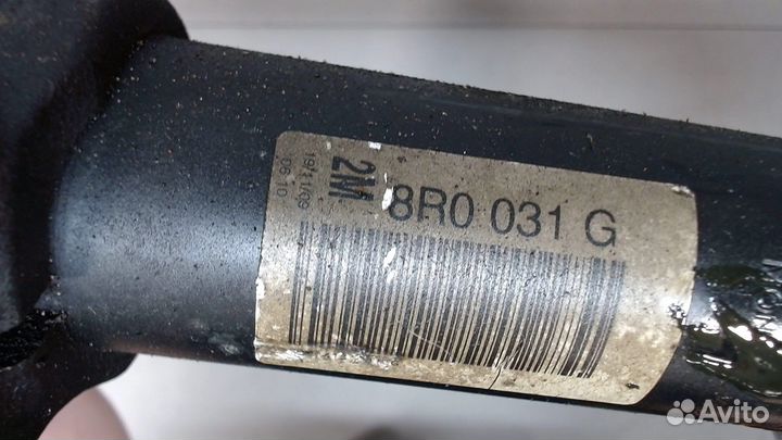 Амортизатор подвески Audi Q5, 2009