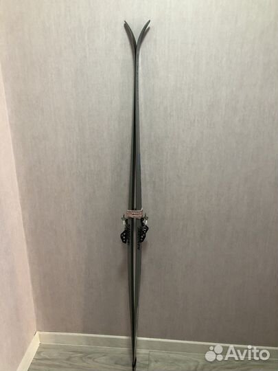 Горные лыжи