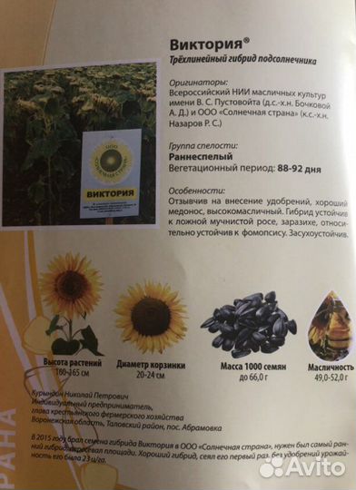 Семена подсолнечника гибрид Виктория A-G