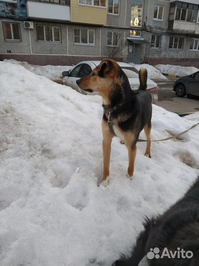 Ласковый малыш Алекс