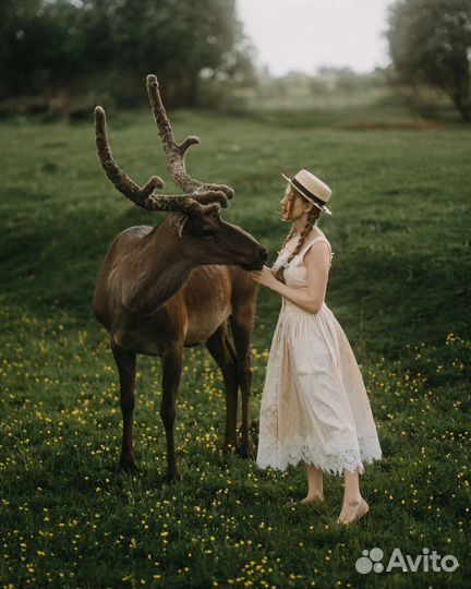 Пресеты lightroom Дарья Булавина