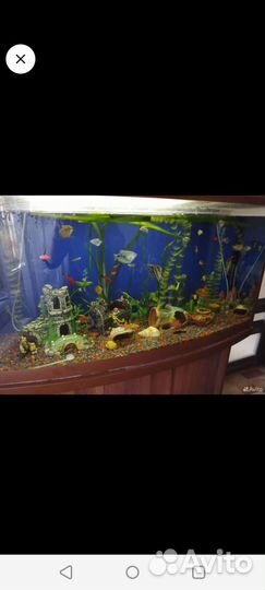 Аквариум с тумбой 170 литров