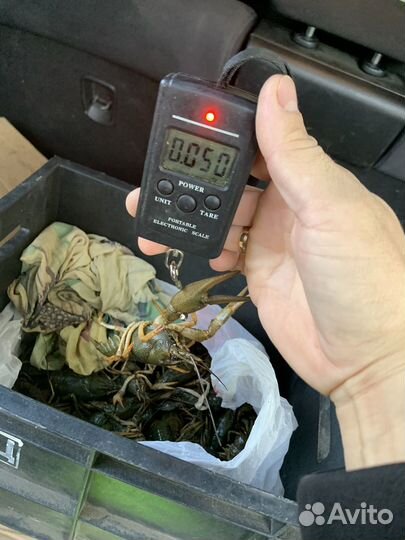 Самые Вкусные Раки