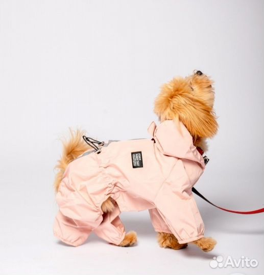 Дождевик для мелких собак