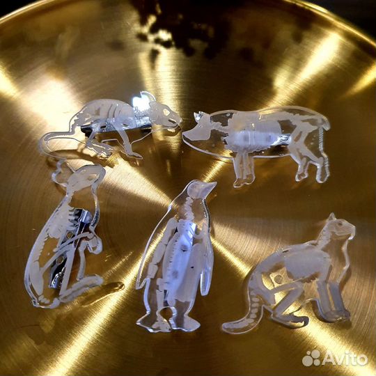 Набор пластиковых значков 