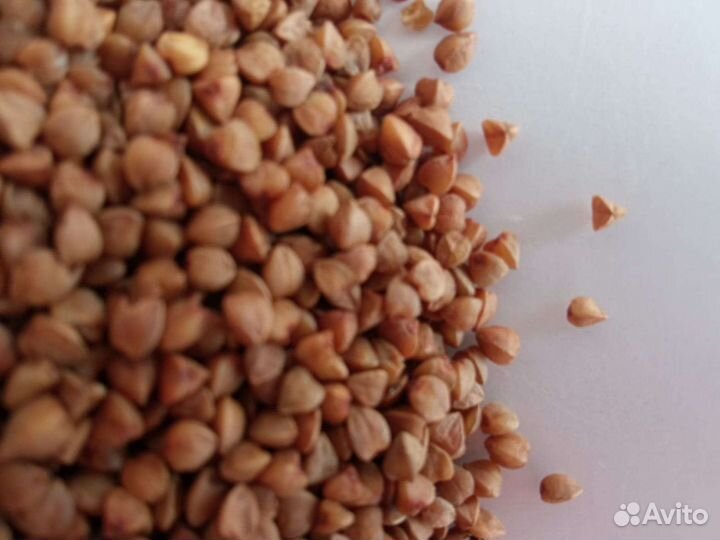 Гречка оптом