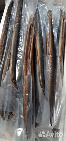 Балтийский угорь горячего копчения