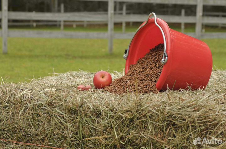 Корм для кур, свиней, коров, кроликов, овец опт