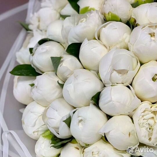 Пионы Розы Доставка