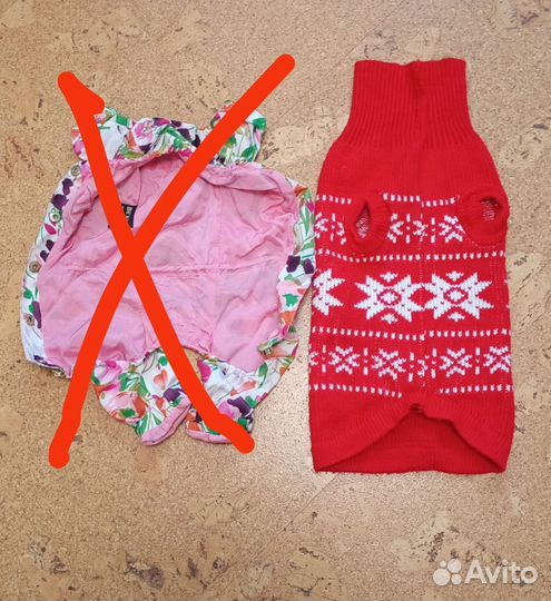 Одежда для маленьких собак