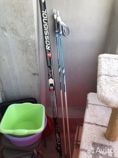 Беговые лыжи