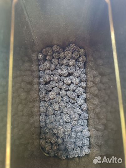 Черный принц