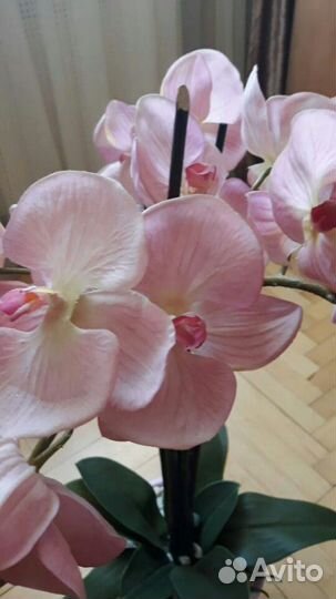 Исскуственная орхидея в горшке