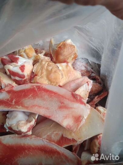 Хрящи говяжьи на корм животным