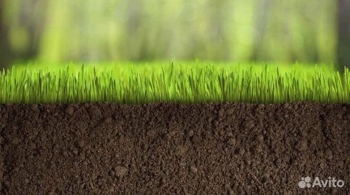 Земля под газон Камаз 5-10-15-30 тонн