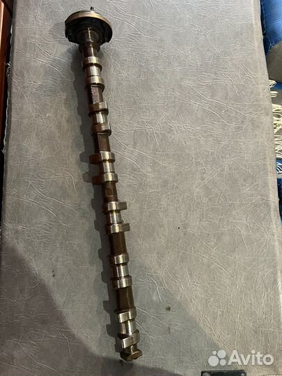 Распредвал впускной Bmw m54b25