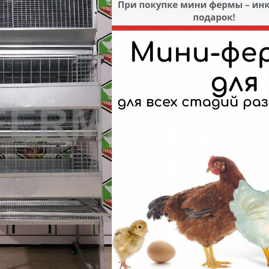 Мини ферма для кур + инкубатор в подарок