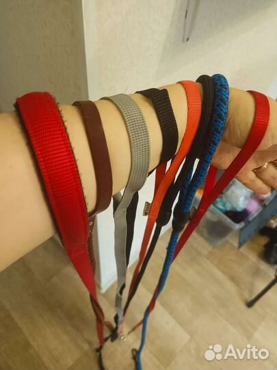 Поводок для собак