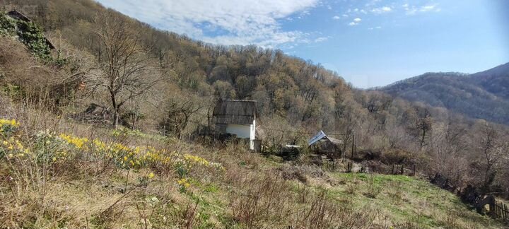 Участок 10 сот. (СНТ, ДНП)