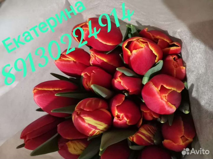 Тюльпаны к 8 марта опт и розн