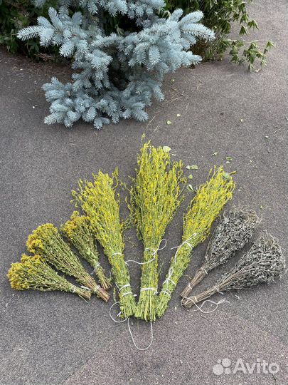 Травы для бани