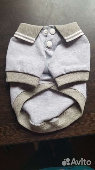 Одежда для маленьких собак