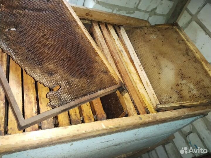 Ульи,рамы для ульев