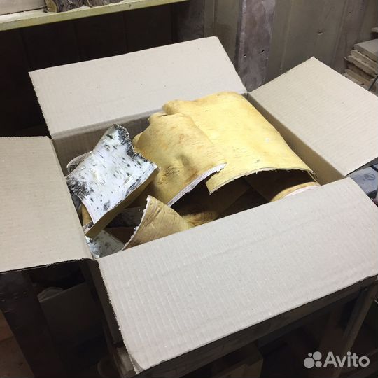 Береста для розжига