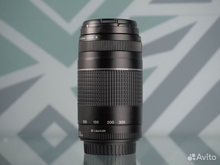 Canon EF 75-300mm f/4-5.6 III