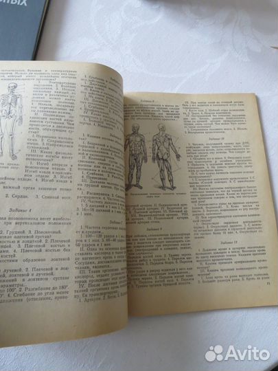 Лившиц А.В. Сборник задач и упражнений по обдд