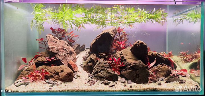 Камни для дизайна аквариума и.т.д