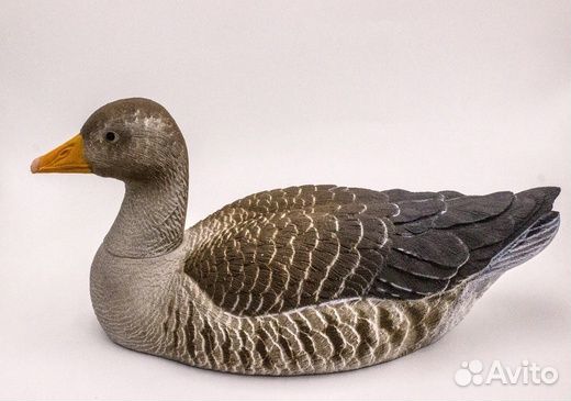 Чучело Серый Гусь (Рельеф)