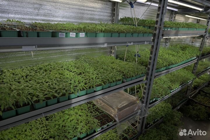 Сетка-теневка