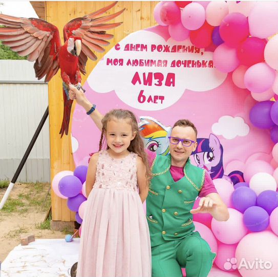 Аниматоры, Научное шоу, шоу программы,фокусник