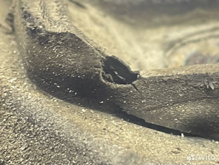 Подушка двигателя левая Renault Logan 1 LS K7M710