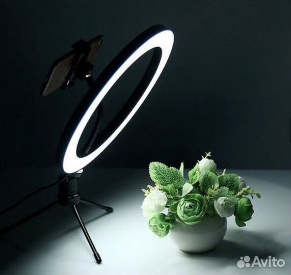 Лампа кольцевая SD55