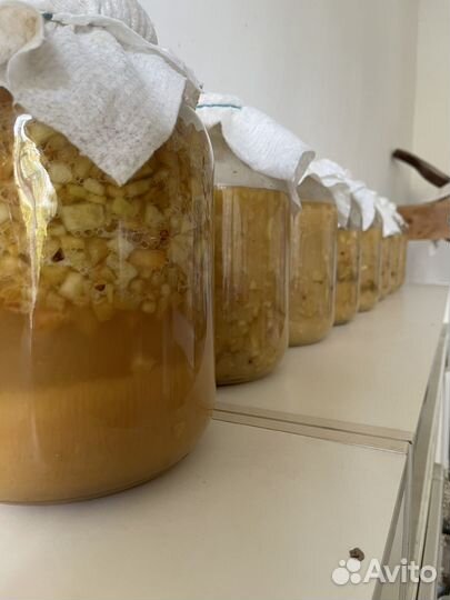 Домашний яблочный уксус на меду